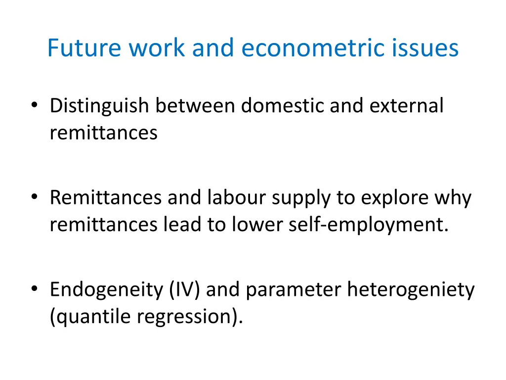 future work and econometric issues