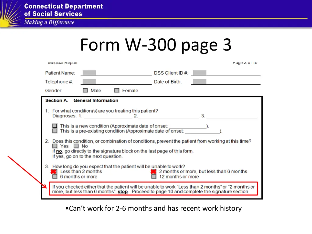form w 300 page 3