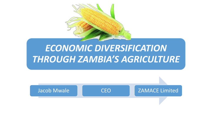 economic diversification through zambia