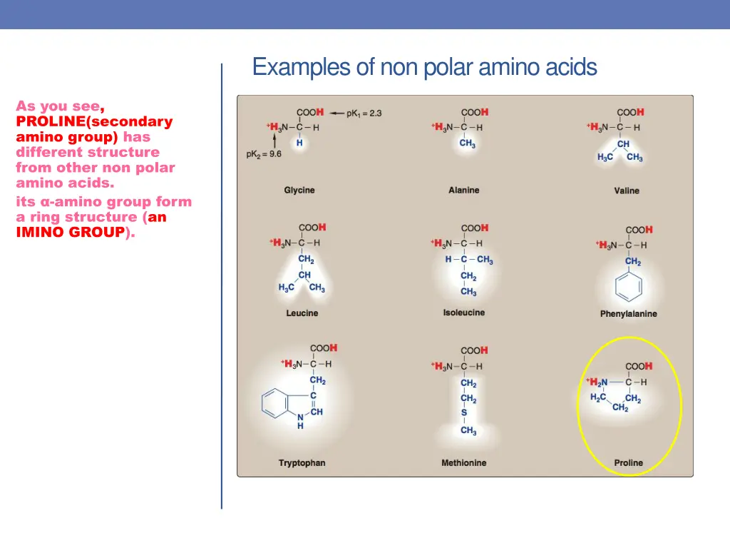 examples of non polar amino acids