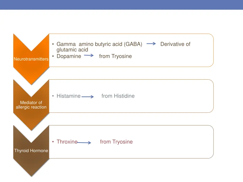 gamma amino butyric acid gaba derivative