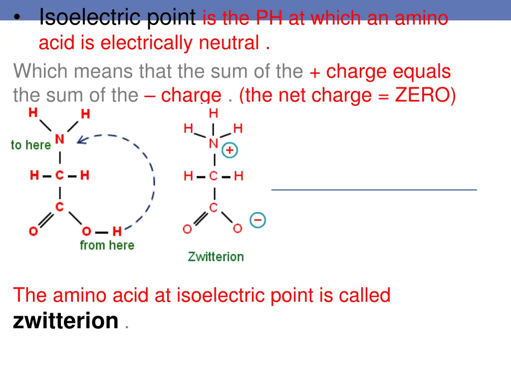 isoelectric point is the ph at which an amino