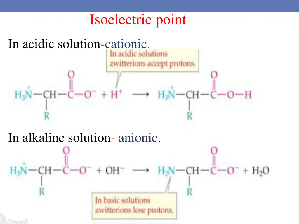 isoelectric point