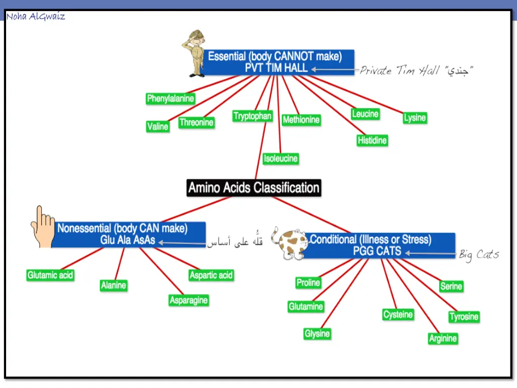 slide6
