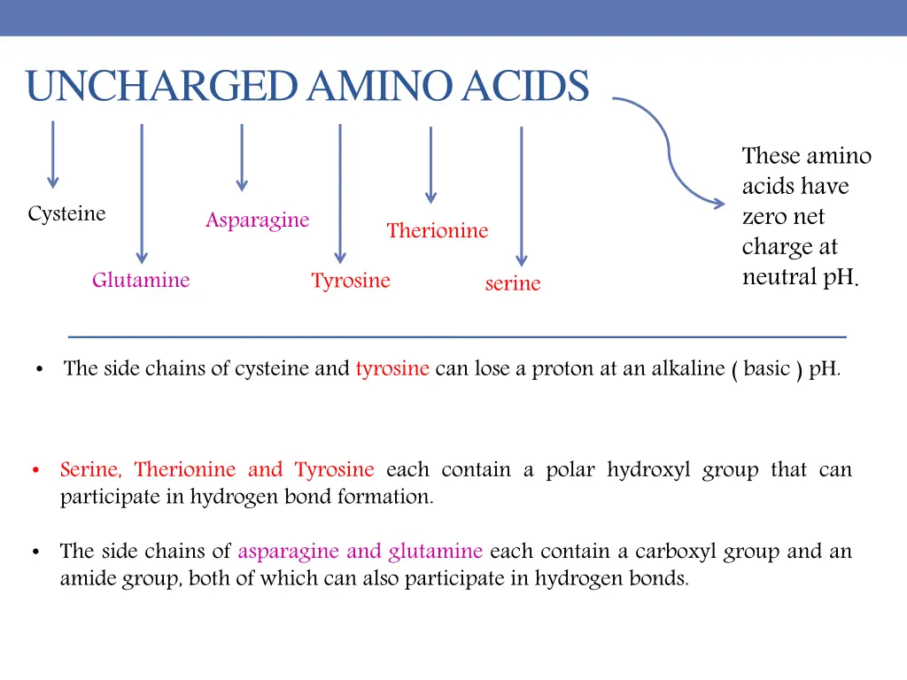 uncharged amino acids