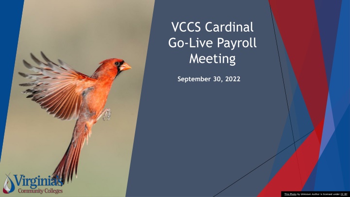 vccs cardinal go live payroll meeting
