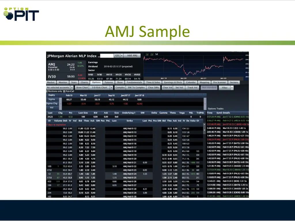 amj sample