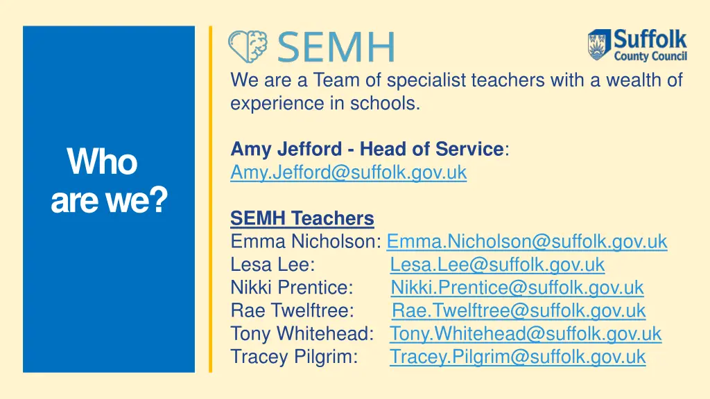 we are a team of specialist teachers with