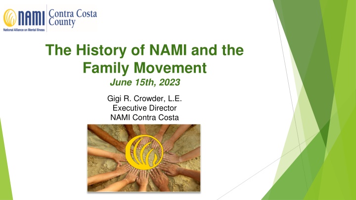 the history of nami and the family movement june