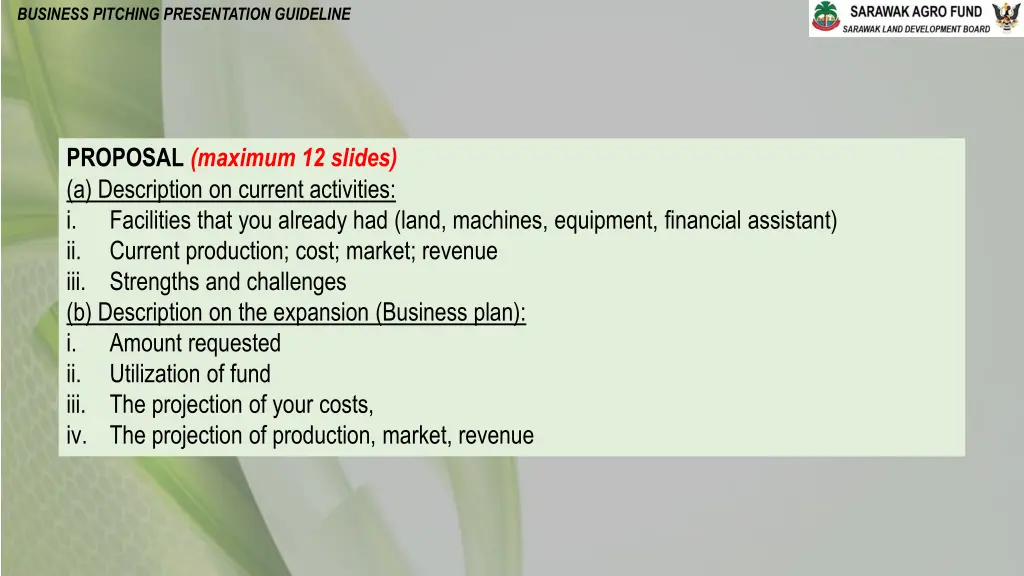 business pitching presentation guideline 2