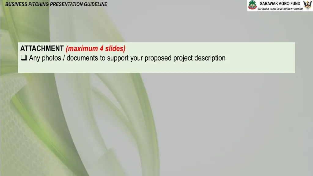 business pitching presentation guideline 3