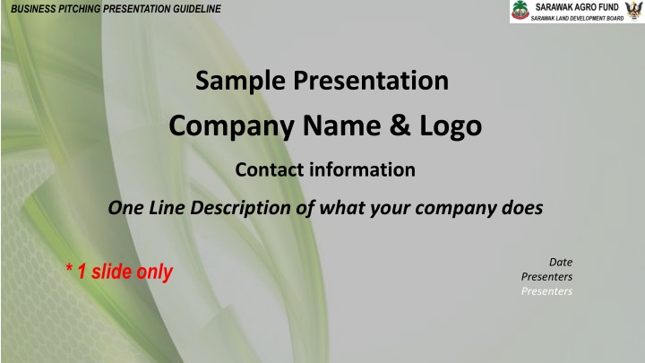 business pitching presentation guideline