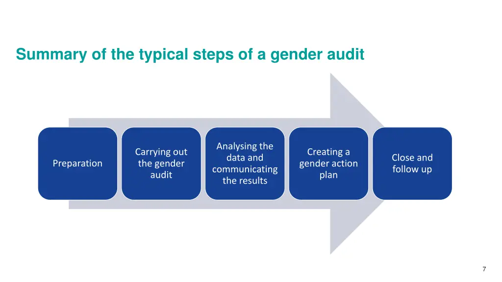 summary of the typical steps of a gender audit