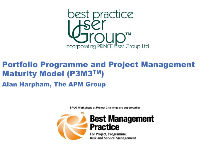 portfolio programme and project management