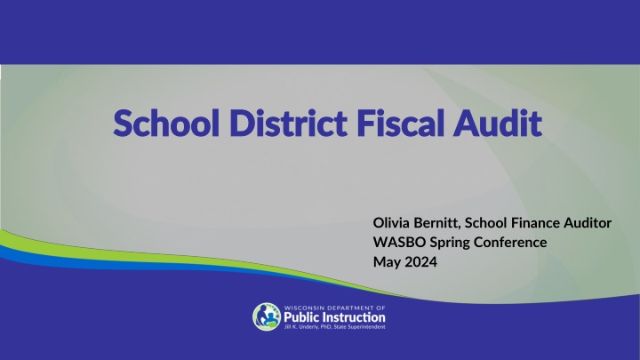 school district fiscal audit school district