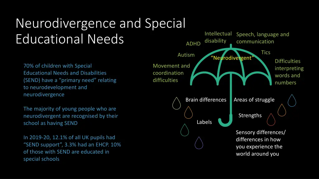 neurodivergence and special educational needs