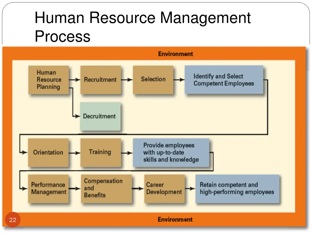 human resource management process