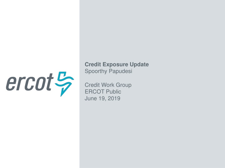 credit exposure update spoorthy papudesi