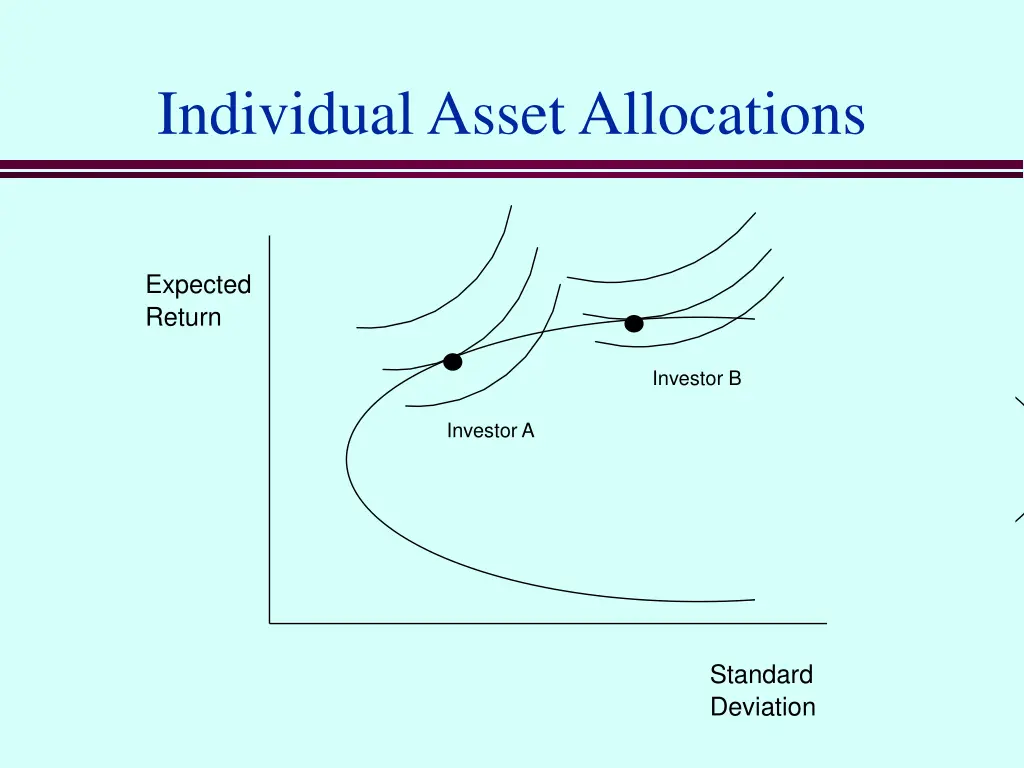 individual asset allocations