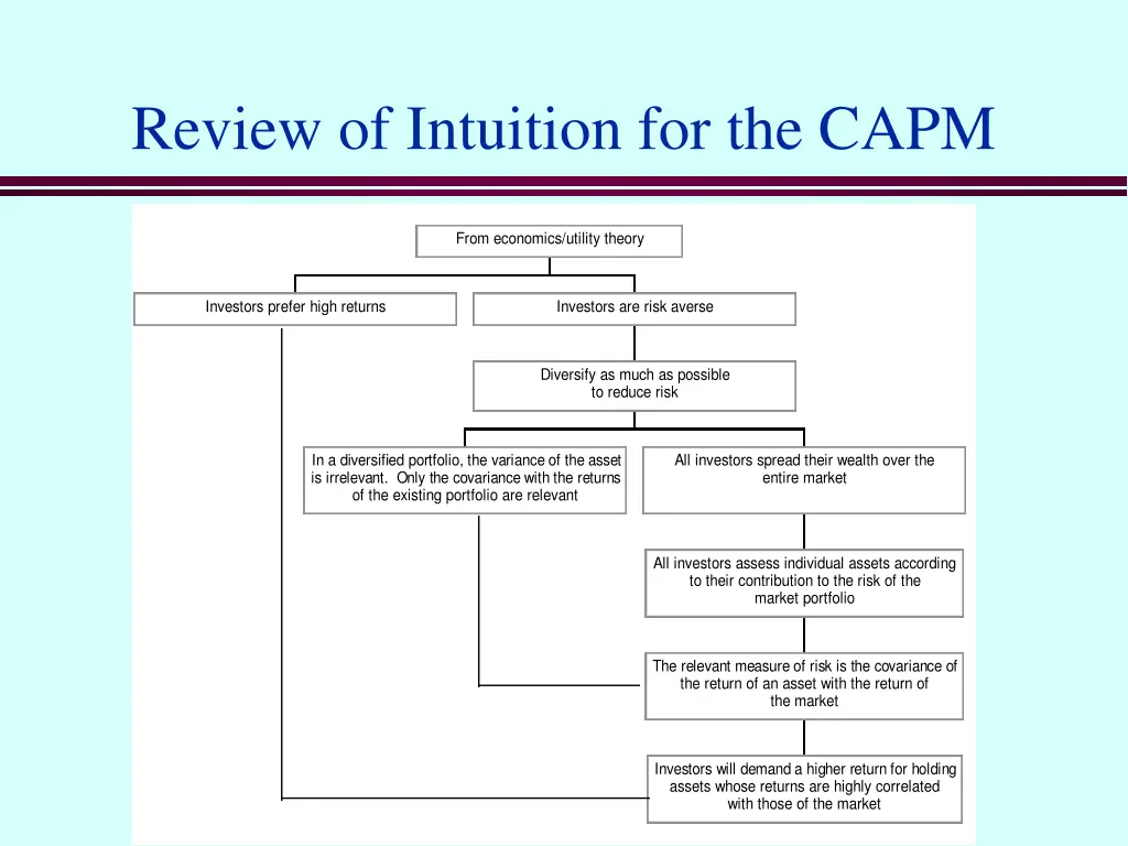 review of intuition for the capm