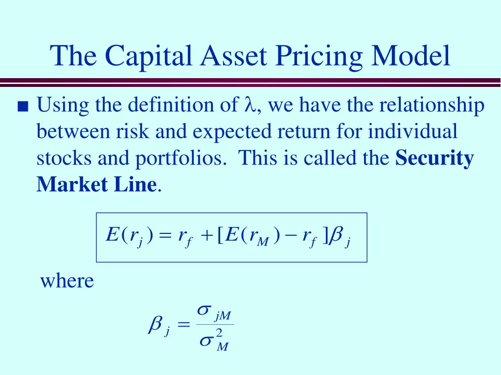 the capital asset pricing model 2