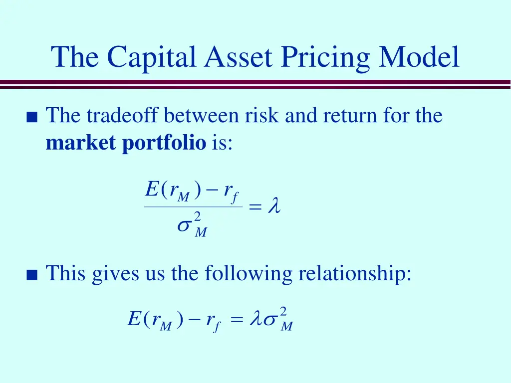 the capital asset pricing model