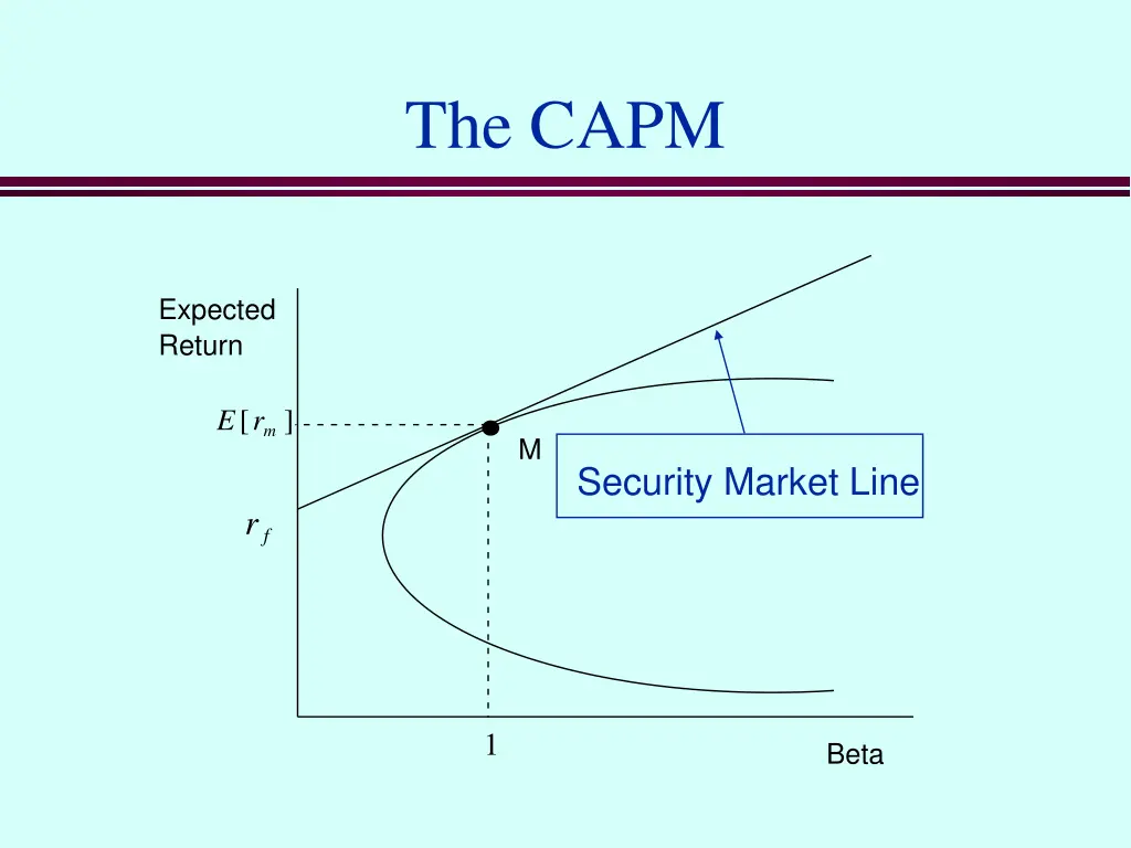 the capm