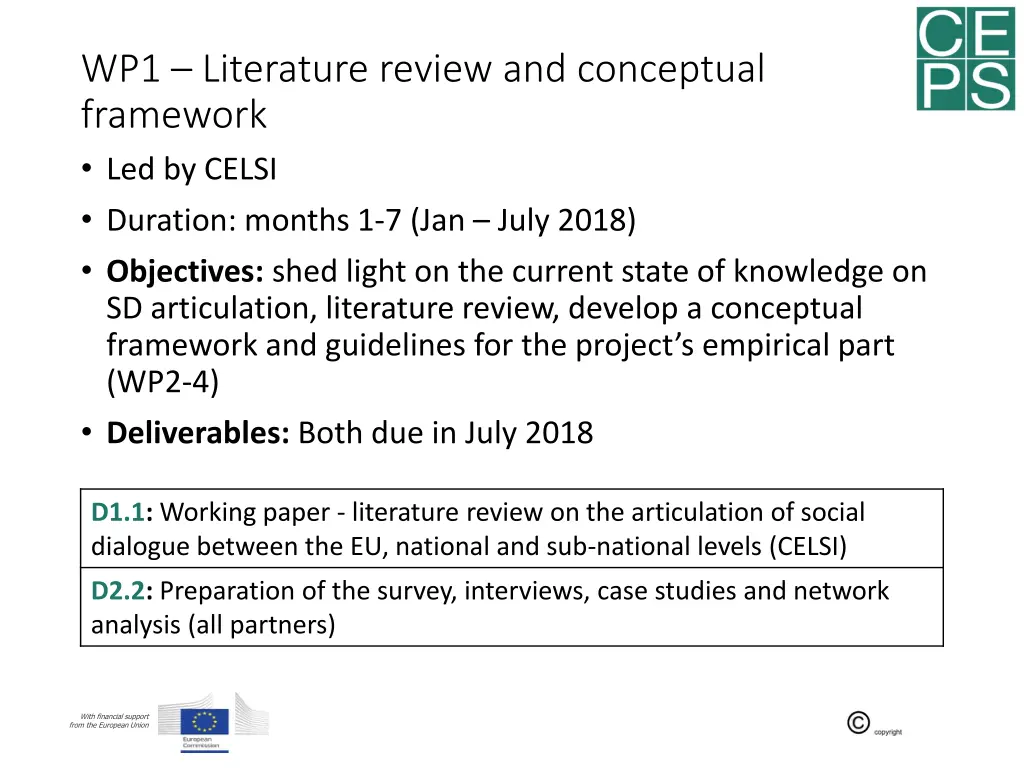 wp1 literature review and conceptual framework