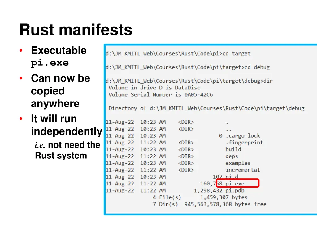 rust manifests executable