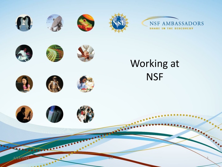 working at nsf