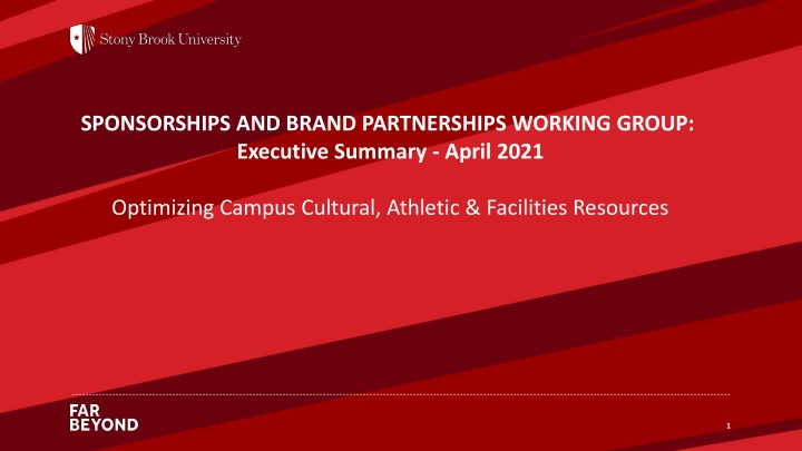 sponsorships and brand partnerships working group