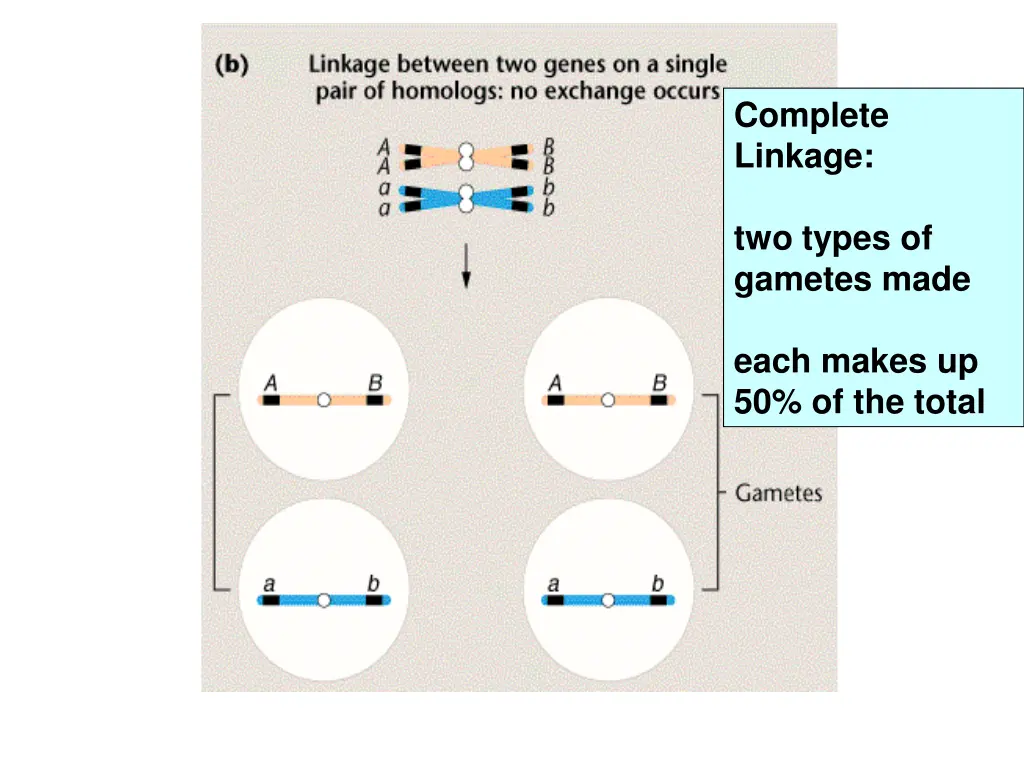 complete linkage