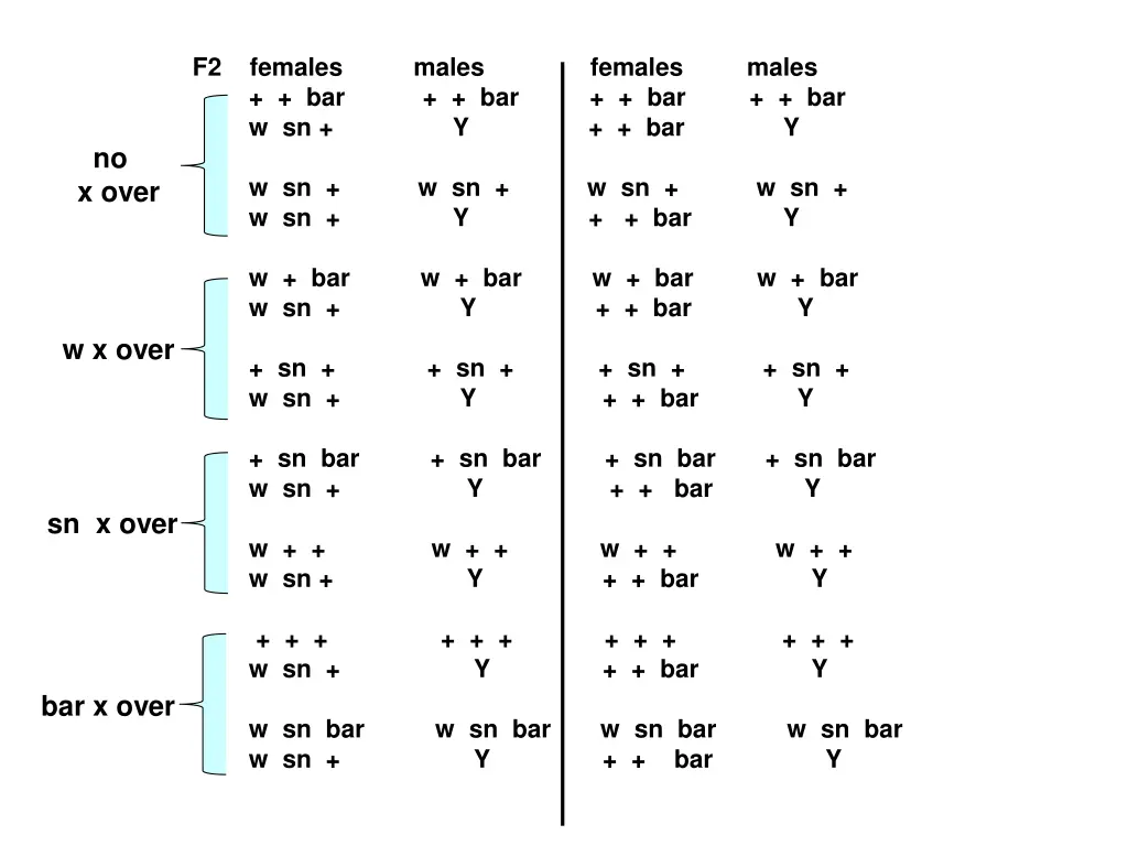 f2 females males females males