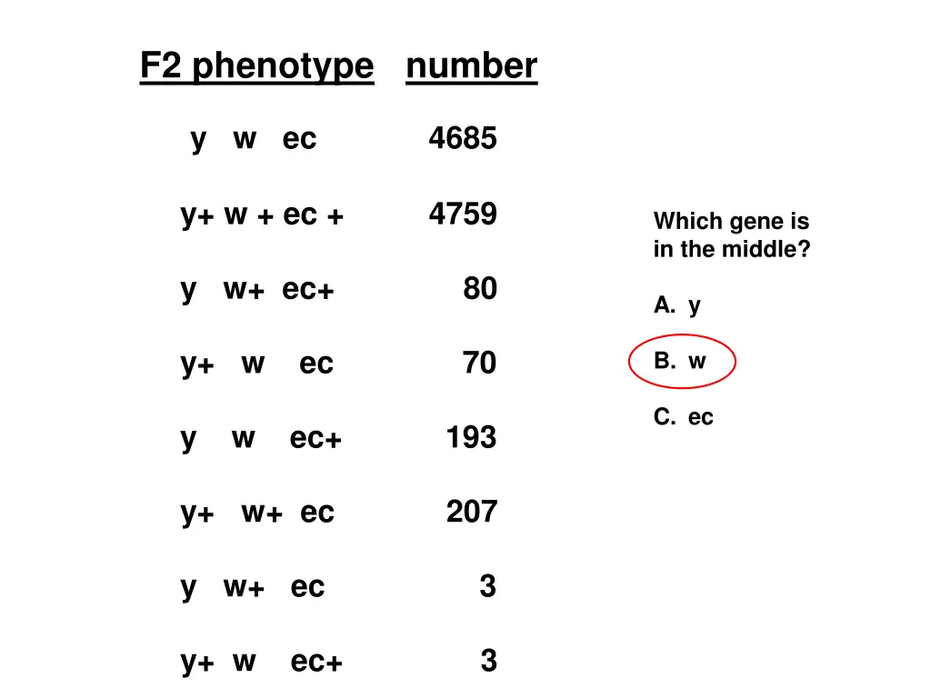 f2 phenotype number 1
