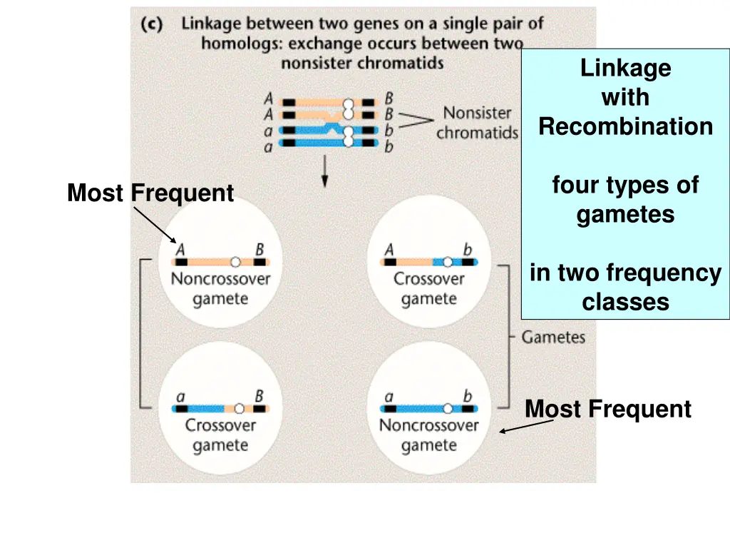 linkage with recombination