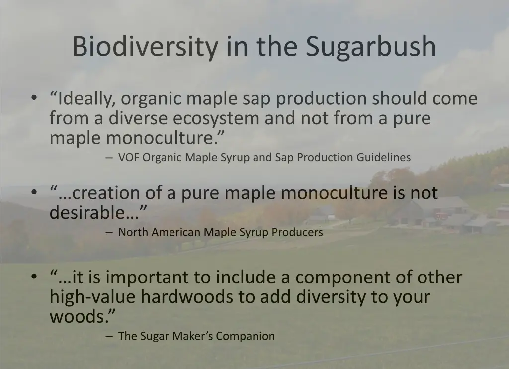 biodiversity in the sugarbush