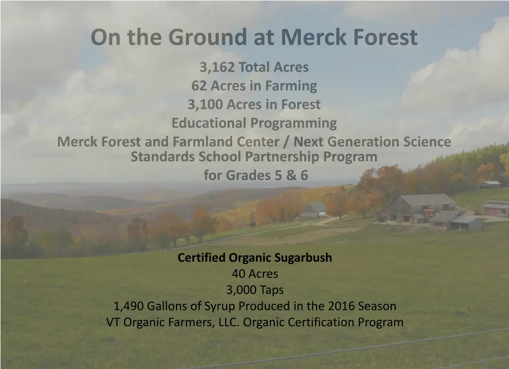 on the ground at merck forest