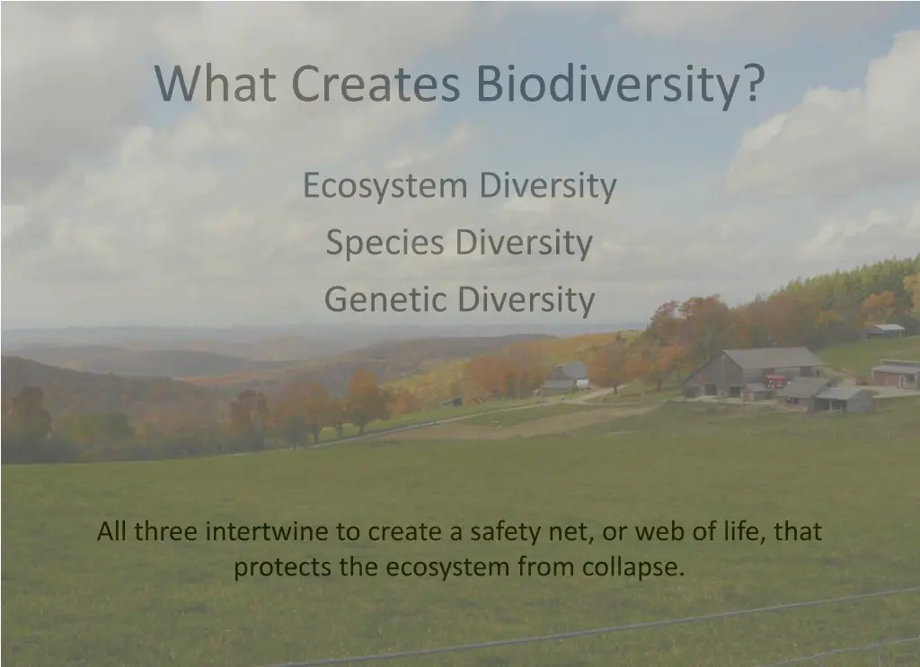 what creates biodiversity