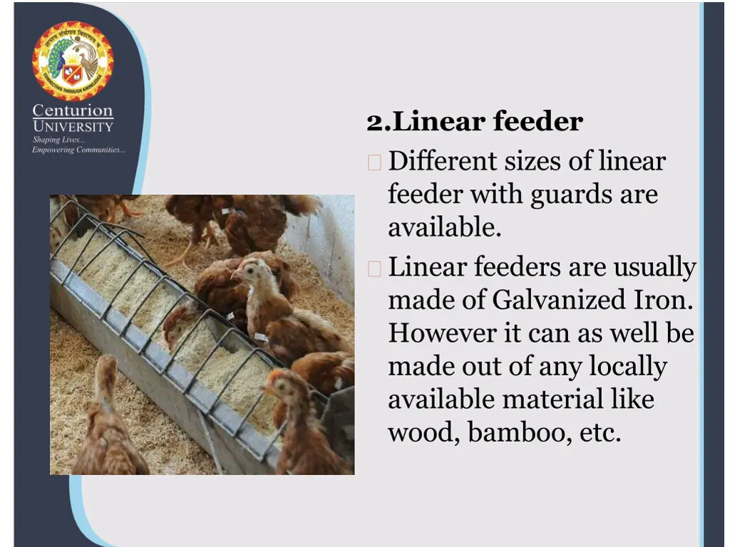 2 linear feeder different sizes of linear feeder