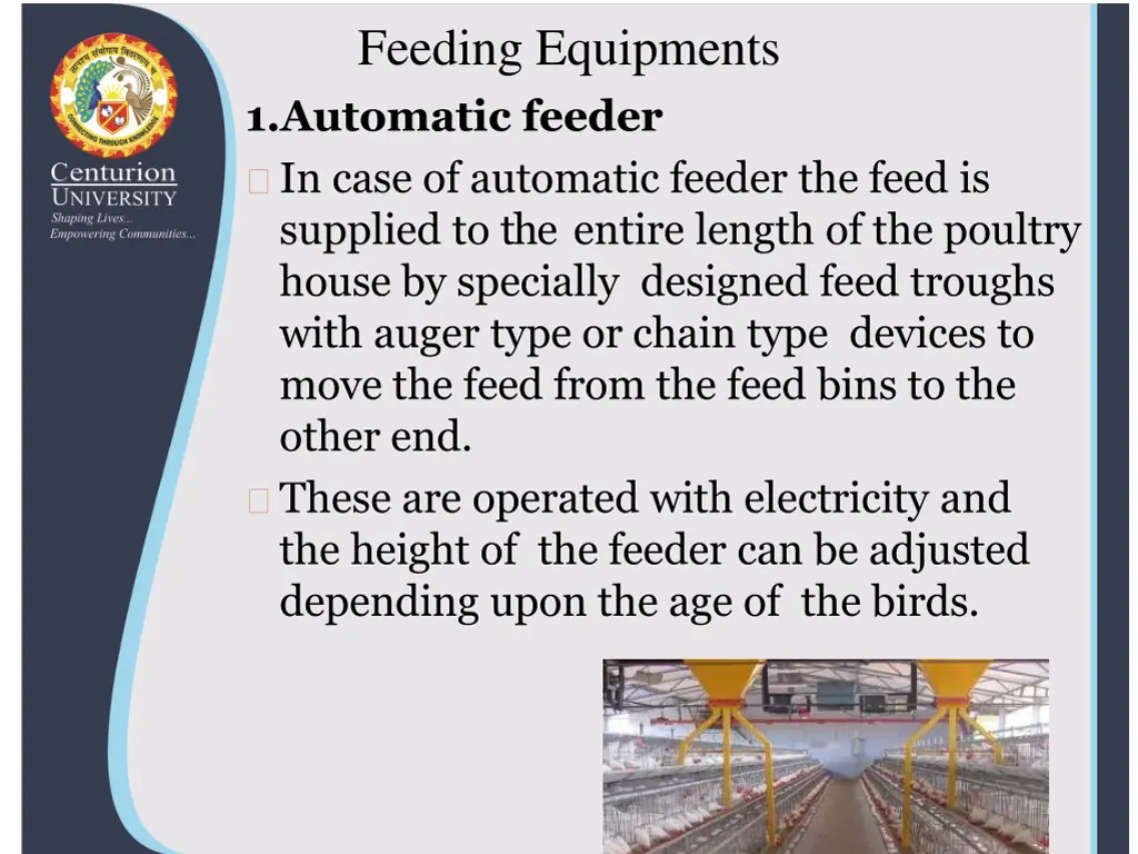 feeding equipments 1 automatic feeder in case