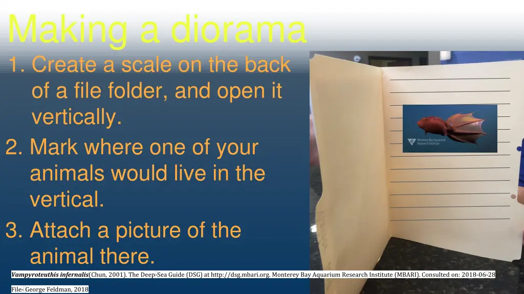 making a diorama 1 create a scale on the back