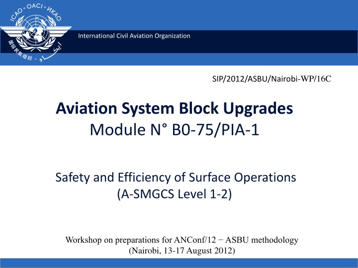international civil aviation organization