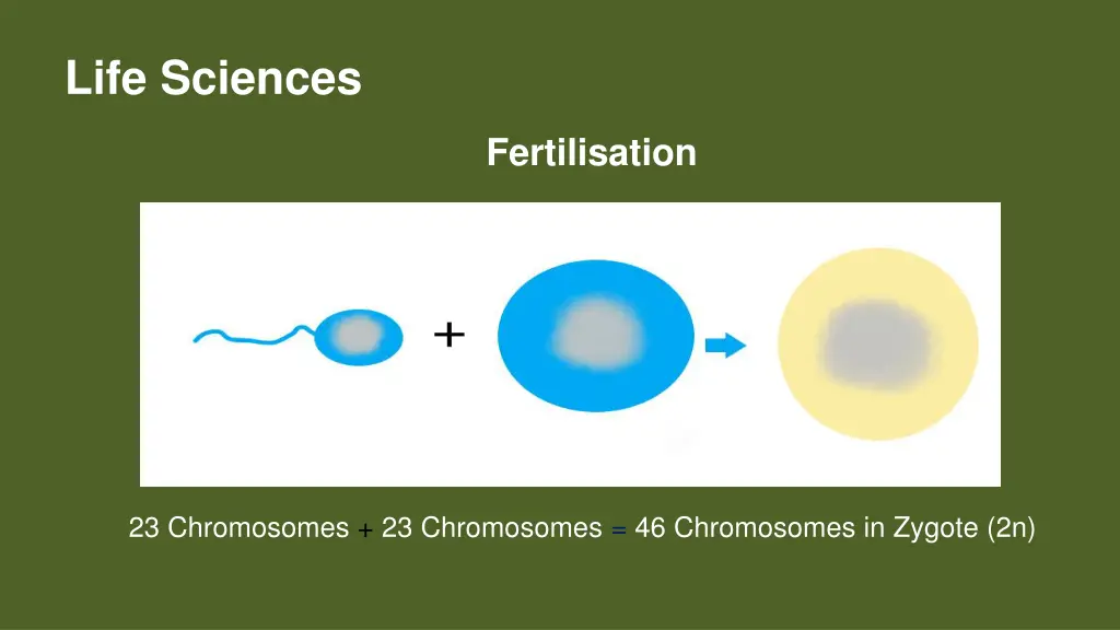 life sciences 1