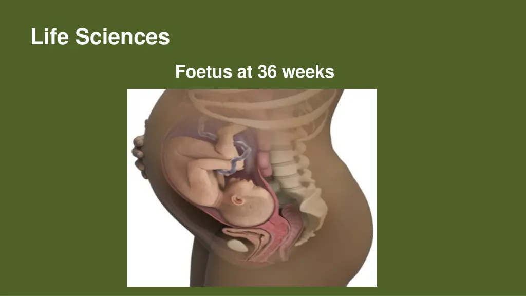 life sciences 10