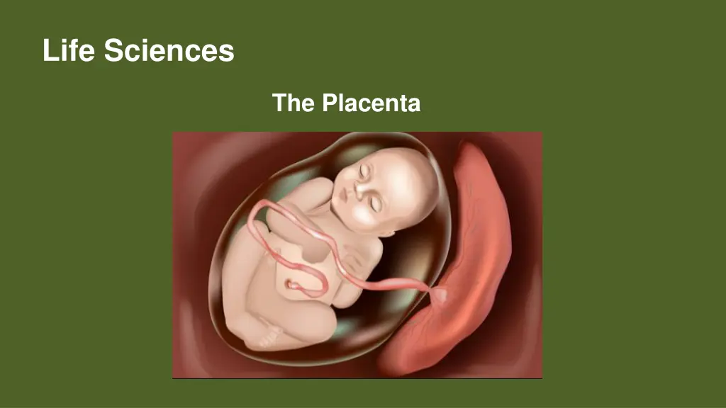 life sciences 13