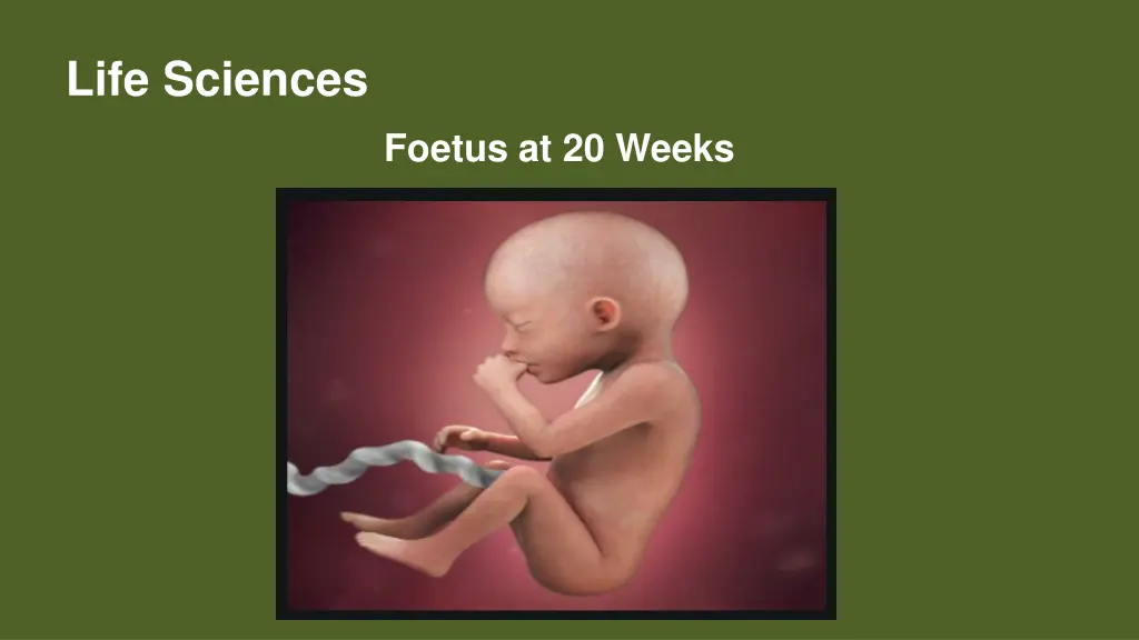 life sciences 9