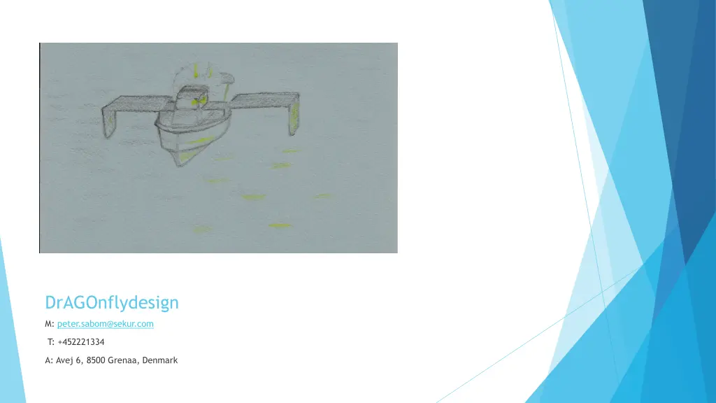 dragonflydesign