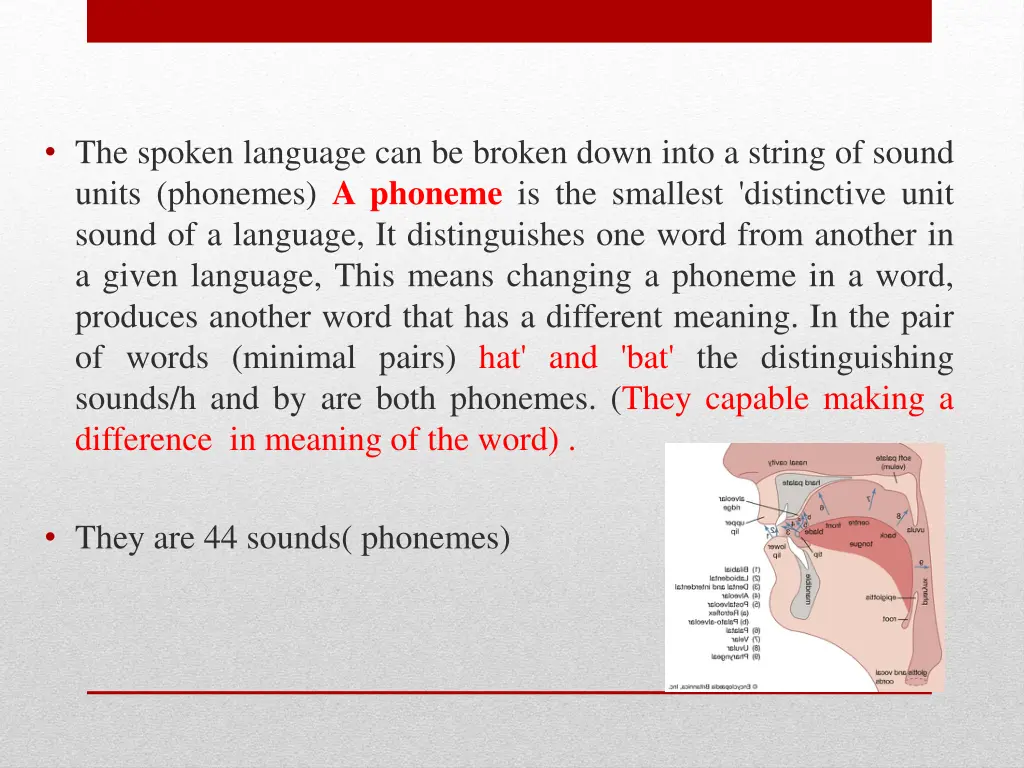 the spoken language can be broken down into