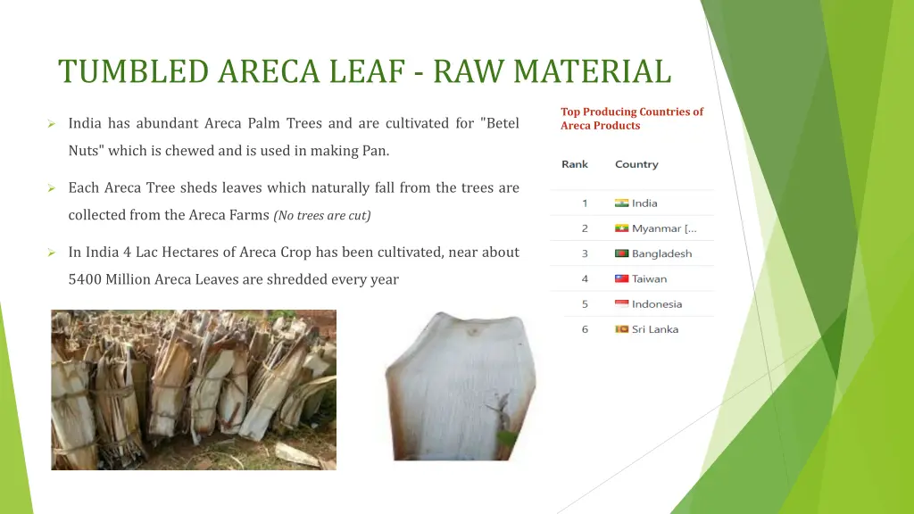 tumbled areca leaf raw material