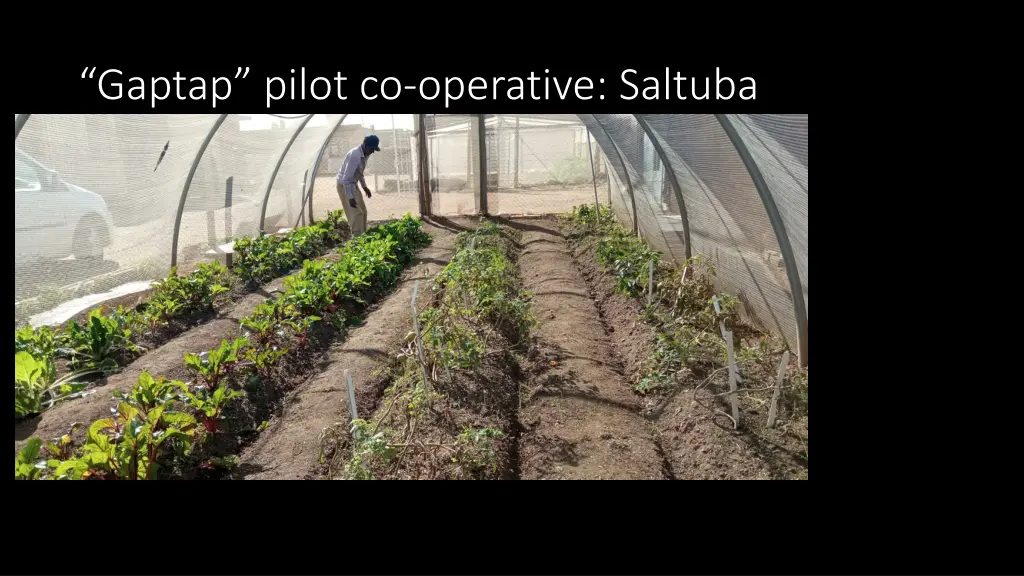 gaptap pilot co operative saltuba